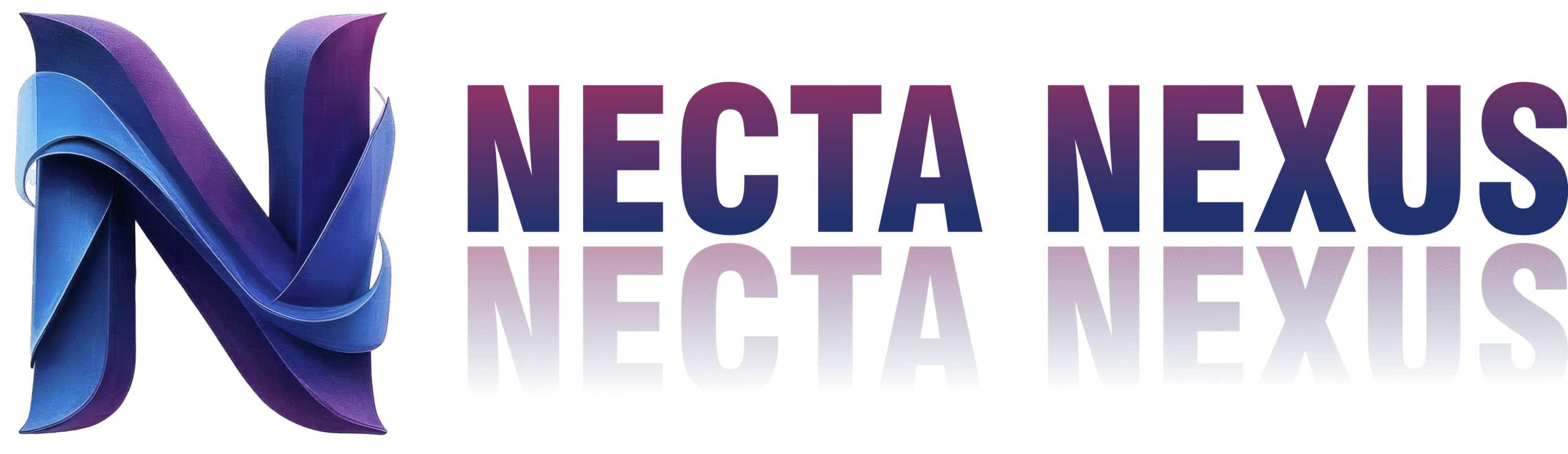 Necta%20Nexus%20IT%20Solution